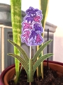 Bild 2 von Stickdatei ITH Hyazinthe Frühling Stabstickdatei